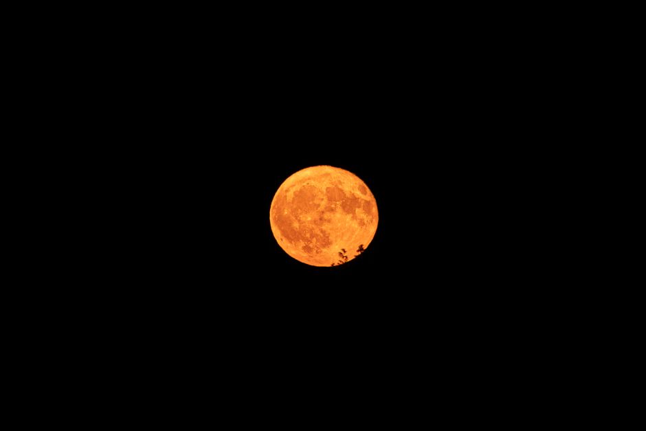 June 9, 2026 🌙 Moon in Aries