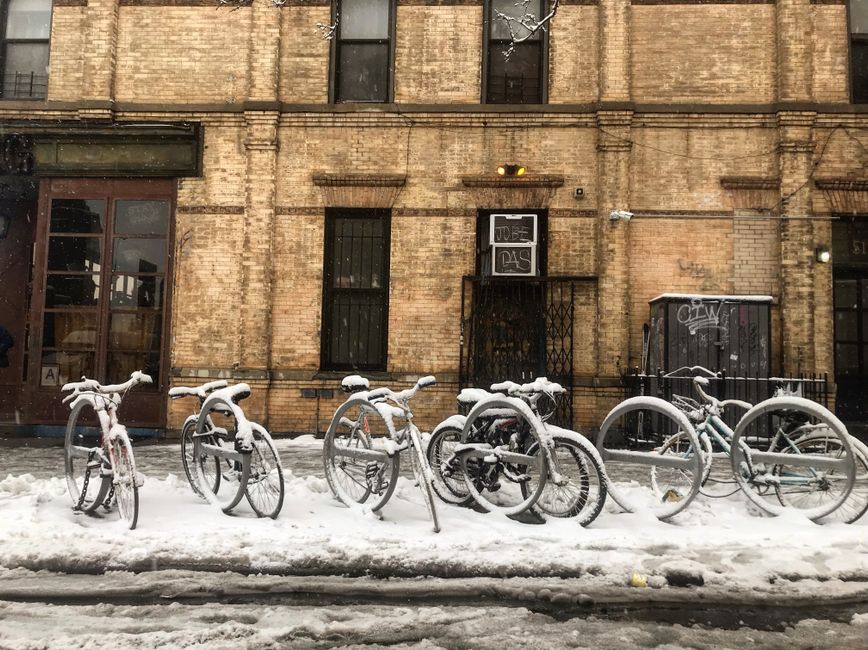 Bushwick’s Resilient Canvas: A Studio Resurgence Amidst Uncertain Times