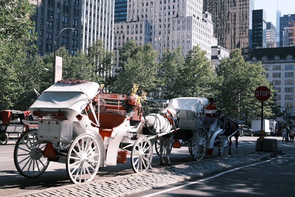 City Council Votes 40-7 to End Central Park Carriage Rides