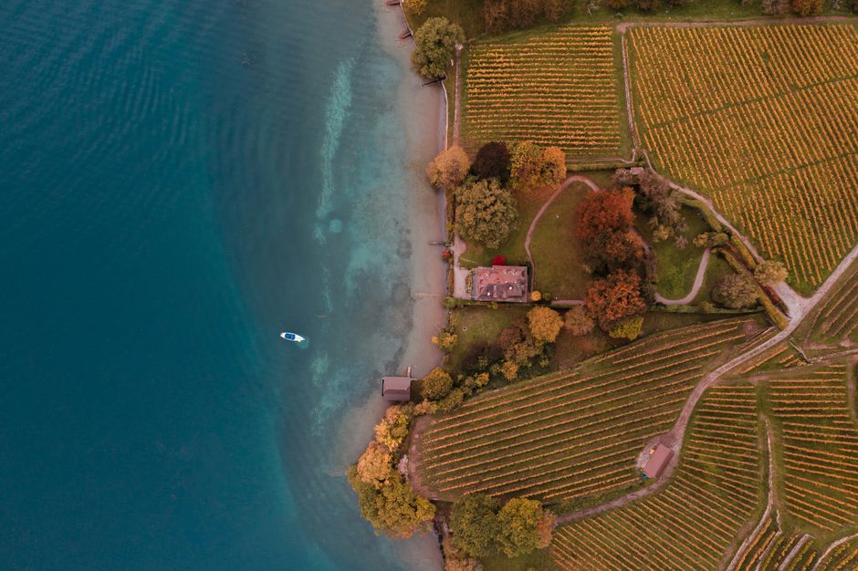 Geneva, N.Y.: Lakeside Wineries and Fall Color Upstate