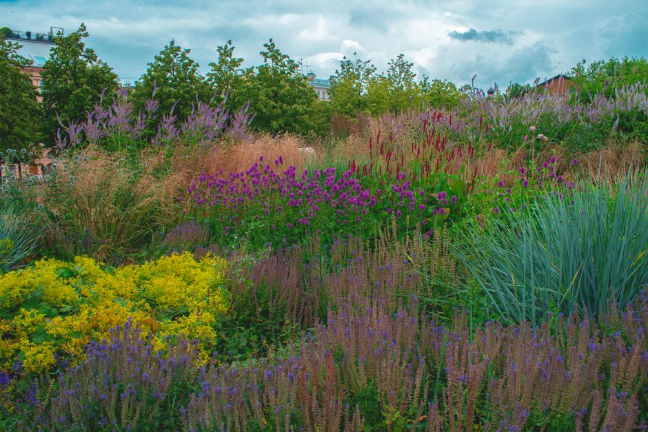 High Line’s Last Garden Segment, at 34th St., Set to Open